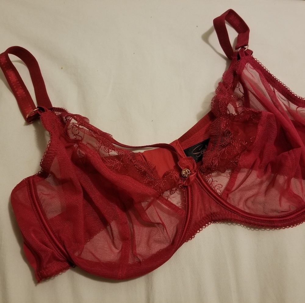 Scantilly red bra